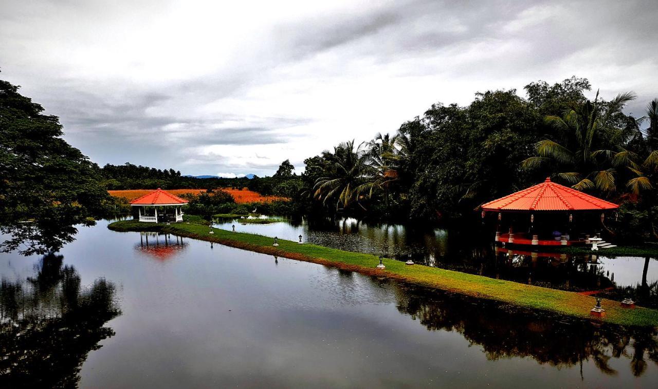 Ayubowan Swiss Lanka Bungalow Resort Bentota Buitenkant foto