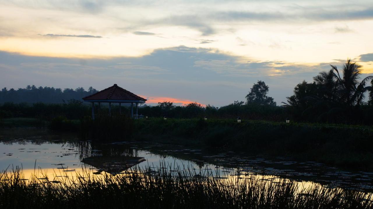 Ayubowan Swiss Lanka Bungalow Resort Bentota Buitenkant foto
